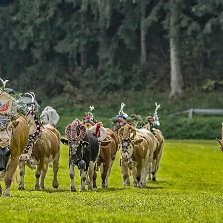 Farm stay Neubauhof